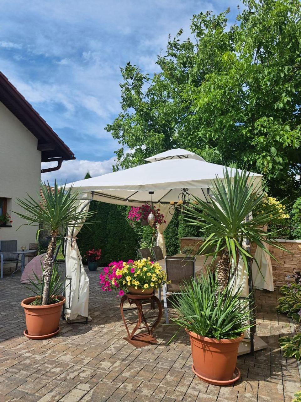 Vila Harmonia Turčianske Teplice Exteriér fotografie